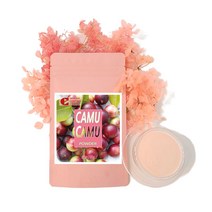 아마존 페루산 카무카무 열매 주스 분말 파우더 100g 천연 비타민C 폴리페놀 안토시아닌, 1팩