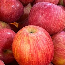 청송 로얄 꿀부사 (3.5kg 5kg 10kg), 5kg 꼬마 사과 (29~30과)