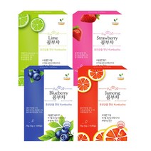 해피테라스 콤부차 탄산 빵빵 블루베리 라임 스트로베리 자몽 원액 키트 스코비 만들기 5gx15개입, 스토로베리