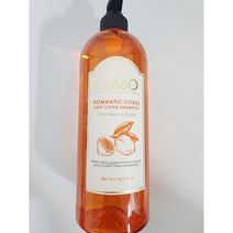 애경 클라보 ClABO 로맨틱 시트러스 샴푸 960ml 무실리콘 갈라짐 끊어짐 펌 염색 극 손상 모발 고영양 두피케어, 2개