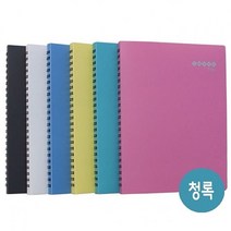 대상액자 스마트화일.A4/청록.1개/40P (투명파일/클리어파일/클리어화일제작/파일/비닐파일/지퍼파일/포켓파일/메모홀더/클립보드/사무용품/파일속지 추천)