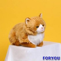 ForU948 위더펫 리얼 고양이 인형 페르시안 친칠라 브라운 펫인형 반려묘인형, 1
