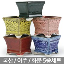 사각 다육이 화분 5종세트 - 다육 미니화분 도자기 선인장 베란다 사무실 인테리어 예쁜화분 국내산화분, 03_대진_사각화분(5종세트)