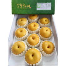 임과일 GAP 명품 나주배 5kg / 7.5kg / 15kg 신고배 풍수배 황금배 산지직송, 1박스, 3. 풍수배 15kg(20과 내)