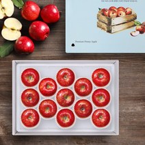 청년연구소 [청년연구소][선물세트] 청송 꿀땡이 사과 5kg 10-14과(대과), 1