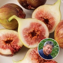 껍질째 먹는 전남 영암 달달한 무화과 1kg(500gx2팩), 단품