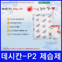 지하습기제거 제습제 300g 5개 - 데시칸-P2
