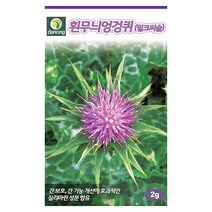 동아 30립 - 소동과 동과피 동과 씨 씨앗 박씨앗 박씨 채소씨 채소씨앗, 03_다농_흰무늬엉겅퀴(2g)