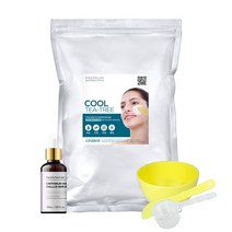 린제이 프리미엄 모델링팩 1kg+ DIY 앰플 + 피부샵용 고급 팩도구 3종세트 지퍼백 고무팩 티트리 비타민 콜라겐 차콜 카렌듈라 골드 스피룰리나, 티트리 1kg, 룩셈파이어캘러스 30ml