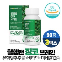 징코 브레인 은행잎 추출물 GINKGO 플라보놀배당체 36mg 기억력개선 혈행개선 도움 비타민 아미노산 함유, 3개, 90정