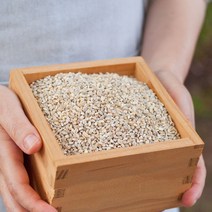 유기농 늘보리쌀 국산 늘보리 햇보리쌀, 늘보리(유기농) 1kg