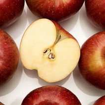 [남도장터] 삼계농협 365생 사과5kg(중소과/16-20과내), 상세 설명 참조