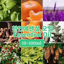 J025 버가못 100ml (Bergamot Essential Oil) 천연에센셜 오일 원액 아로마