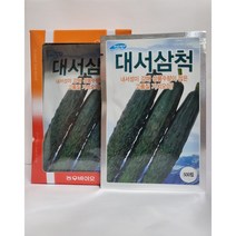 대서삼척오이 500립