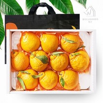 [웰굿]제주직송 한라봉 선물세트 5kg(10과-15과 부직포포함), 단품
