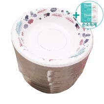 코스트코 삼풍 종이접시 종이보울 19cm x 50매 + 더메이런손소독제