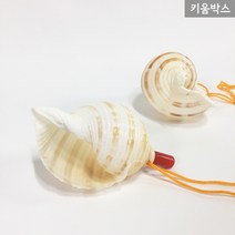 소라(자연)피리(2종)-5개, 소-5개