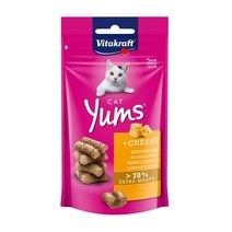 비타크래프트 비타 캣얌 40g 6종 고양이간식 (1개입 1BOX), 9개, 치즈
