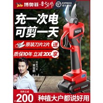 충전전지가위 충전 전지 전기 가위 독일 수입 Bosch 과일 나무 식 가지치기 가지 리튬 배터리 원예 가지치기, 4-없음