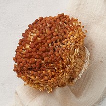 [우리가락]황금송이버섯 200g