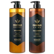 애경 케라시스 샴푸 트리트먼트 대용량 프로폴리스 1000ml 2개, 케라시스 샴푸 트리트먼트 대용