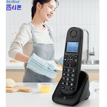 RT 무선전화기 스피커폰 사무실전화기 식당전화기 공장전화기 가정용전화기 국선 책상전화기 텔레폰 알티폰 인터넷전화기 소형전화기관공서