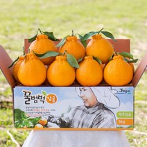 [제주직송] 꿀범벅 고당도 제주 한라봉 2.5kg 대과(6-8)