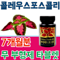 식품 안정선 검사 통과한 힐링 콜레우스 포스콜리 콜리우스 포스코리 간편하게 먹는 무 부형제 스테아린 마그네슘 이산화규소 없는 무첨가 타블렛 파는곳 추천, 7