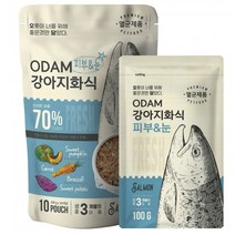 오담 강아지화식 그레인프리 홀리스틱 기능성사료 피부 눈건강 연어 100g