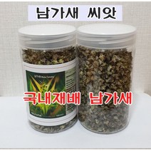 국내산 국내재배 남가새 씨앗 200g 질려자 백질려 열매 경상북도 재배 완전건조 스테로이드 사포닌류 함유 플라보노이드 및 알칼로이드류 성분 함유, 1개(200g)