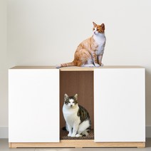 데코앤비 트윈 고양이화장실 두마리가 함께쓰는 고양이 화장실>>원목 화장실” class=”wr-img”></a></div></div></div></div><div class=