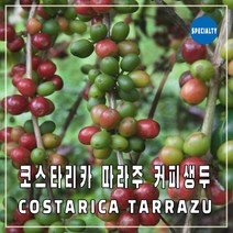 (커피생두) 54 코스타리카 따라주 워시드 500g