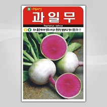 슬로시 슬로시 김장 채소 씨앗 무 배추 당근 씨 종자, 과일무100립(아람)