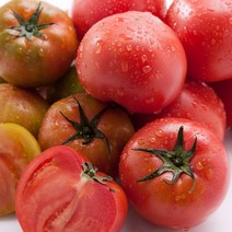 부산 김해 대저 토마토 완숙 찰토마토 5kg, 단품