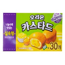 오리온 카스타드 실속형 30개x2곽 총60개, 690g, 60개입