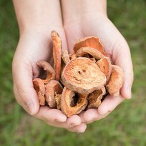 봉래 국산 모과(편) 200g/말린모과/건조모과/건모과/목과/모과차/탈취제/가래 식품 > 신선식품 채소류 인삼/한차재료 감초, 1, 200g, 200g” class=”wr-img”></a></div>
</div>
</div>
</div>
<div class=