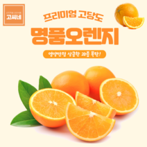 지앤제이 고씨네 프리미엄 오렌지1.5kg 오렌지 오렌지가격 귤, one color, free