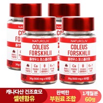 건조효모 콜레우스 포스콜리 결정판 60정 셀레늄 판토텐산 칼슘, 4개