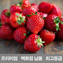 청 딸기 2kg 프리미엄 백화점 납품 제철 농장 설향 만년설 라떼 금실 냉동 킹스베리
