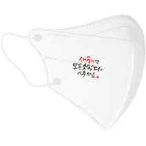 [라로] 신정 새해선물 신년인사 마스크 2D새부리형 30매 성탄절 / 인쇄마스크 / 대형/중형, Design_2, 중형