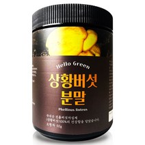 헬로우그린 국내산 상황 버섯 분말 50g(통), 1, 본상품선택, 본상품선택