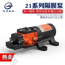 12V / 24V 21 RV 다이어프램 펌프 DC 워터 펌프 선박용 자동차 배터리 프라이밍펌프 자동펌프 요트펌프 펌프 24V 3.8LPM, 1