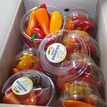 미니파프리카 2kg 국내산 백산상회, 1박스