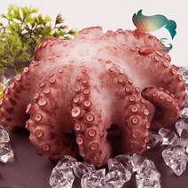 제수용 모리타니아 자숙 참문어 약 800g~1kg 삶은 문어 숙회, 01_중사이즈 615g (자숙전 800g)