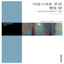 하나북스퀘어 사랑스러운 푸른 잿빛 밤볼프강 보르헤르트 전집 대산세계문학총서 157