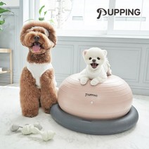[퍼핑] 강아지짐볼 슬개골탈구예방 운동기구 (짐볼+홀더 세트), 퍼핑 강아지짐볼 세트 (짐볼+홀