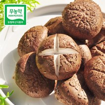 장흥 친환경 무농약 생표고버섯 1kg 2kg, 가정용특품 1kg