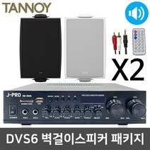 탄노이 DVS6 벽걸이 벽부형 교회용 강당용 스피커 2