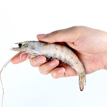 바르닷 추천 흰다리새우 냉동 새우 2kg 대하 구이 대용량 페루 에콰도르 업소용 도매 소매, 중(40/50) 2kg, 아이스팩 추가