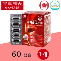 리버큐 포르테 간 건강 실리마린 밀크씨슬 밀크시슬 피로 회복 장 케어 약 60캡슐 1개